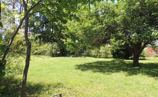 06 Backyard 06 Backyard